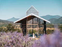 The most beautiful lavender farms around Australia