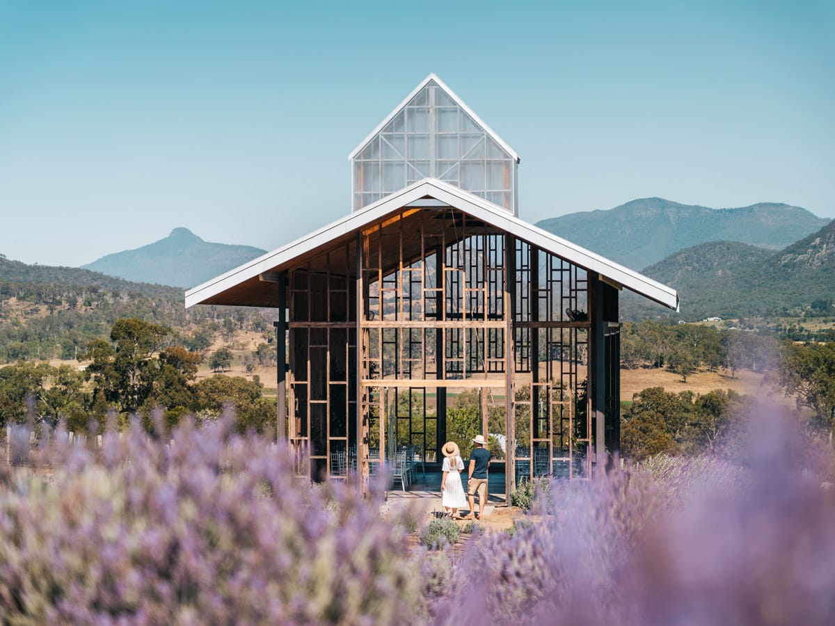 The most beautiful lavender farms around Australia