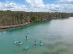the Wajaana Yaam Adventure Tours stand-up paddle boarders on Coffs Creek
