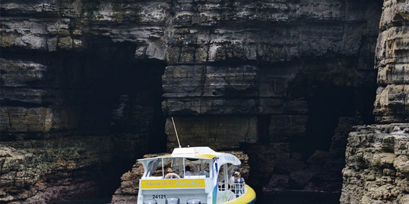 Jervis Bay tours