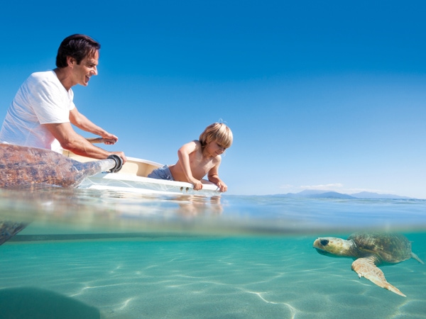 a father and son kayaking with turtle