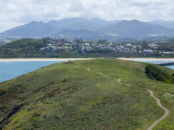 the aerial view of Muttonbird Island Walking Track in Coffs Harbour