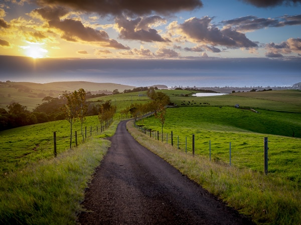 a verdant farmland in Schottländers’ Wagyu Farm Stay