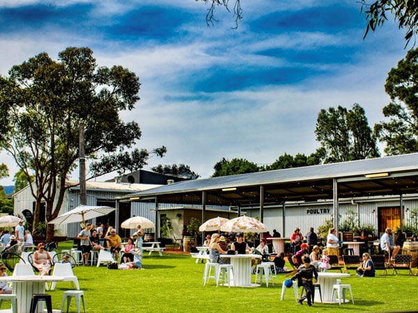 people dining in the outdoor area at The Taphouse at the Groundz Precinct