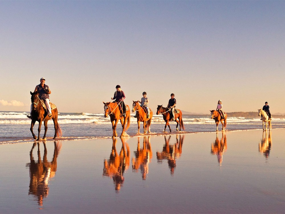 The 10 best things to do in Coffs Harbour
