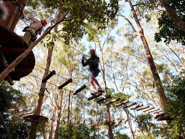 walking along the course at Treetops AdventureCoffs Harbour