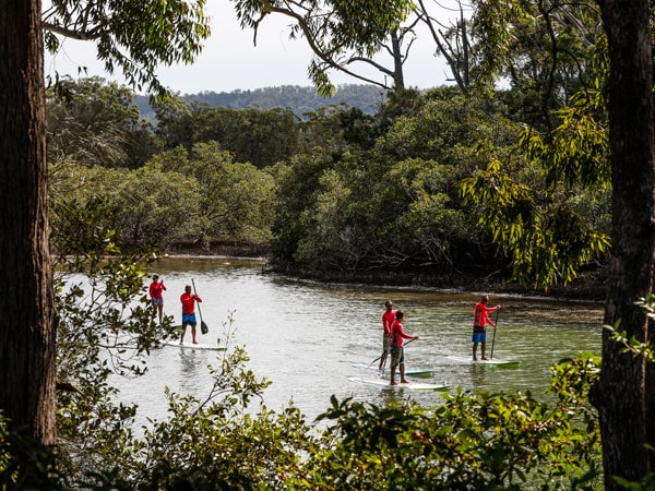 paddleboarding with Wajaana Yaam Gumbaynggirr Adventure Tours at Moonee Creek on the Coffs Coast