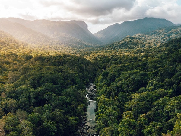 an aerial view of Daintree Rainforest, Walkabout Cultural Adventures