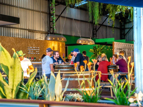 people dining and drinking at Woolgoolga Brewing Co.