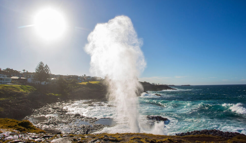 water plume spouting from the Kiama blowhole