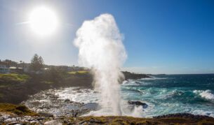 water plume spouting from the Kiama blowhole