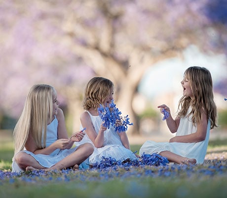 Jacaranda Season, Grafton, NSW Australia