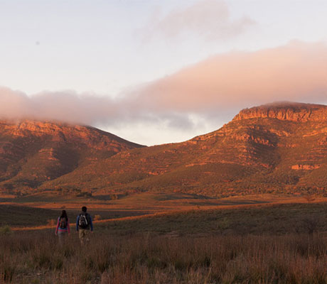 Wilpena Pound, Flinders Ranges, South Australia