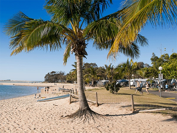 Cotton Tree Holiday Park, Cotton Tree