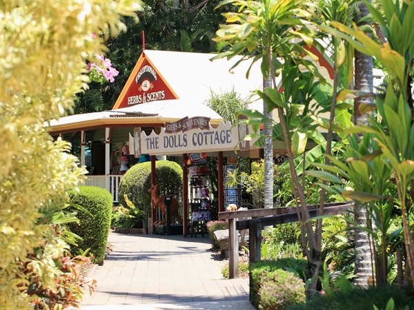 Yandina-ginger-factory-(image-Visit-Sunshine-Coast)