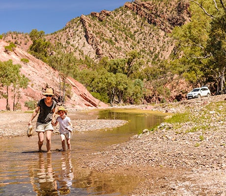 Brachina Gorges, Flinders Ranges National Park, Australia