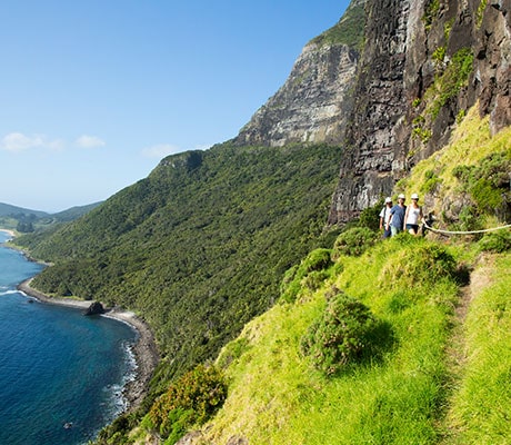 Mount Gower, Lord Howe Island