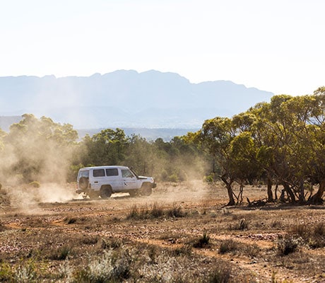 4WD Self-drive Tours, Rawnsley Park Station, Flinders Ranges, South Australia