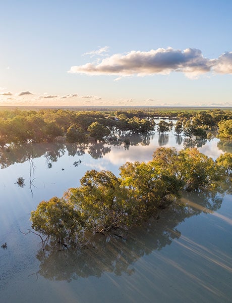Menindee Lakes, Broken Hill, NSW, Australia
