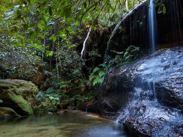 The South Lawson Walking Circuit in the Blue Mountains, NSW