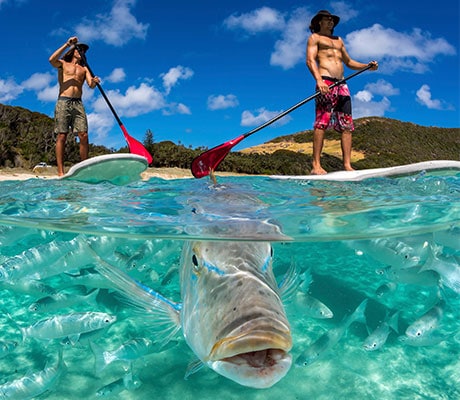 Kayaking, Neds Beach, Lord Howe Island, NSW Australia
