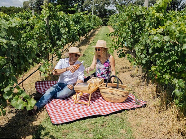 Printhie Wines