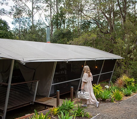 Starry Night Luxury Camping, Queensland Australia