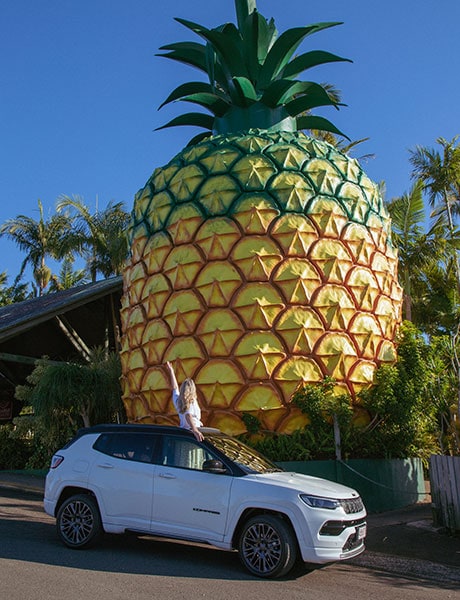 Big Pineapple, Woombye, Queensland Australia