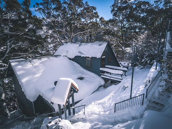 Pure Chalet