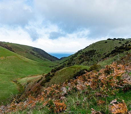 Naiko Retreat, Fleurieu Peninsula, SA, Australia
