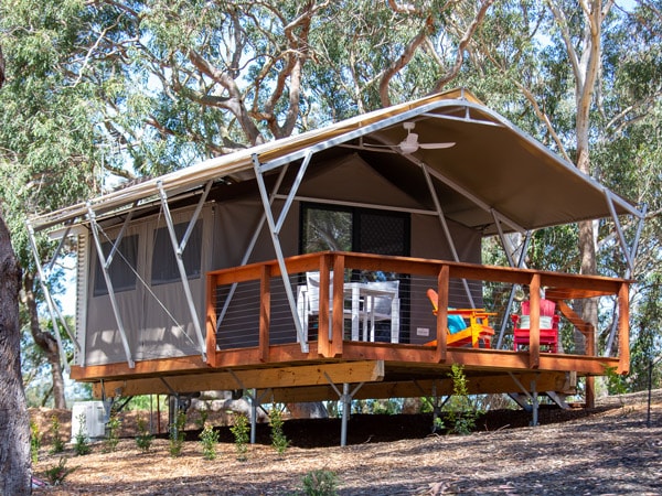 Glamp with Australian wildlife at Port Stephens
