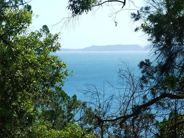 Views from the Noosa hill