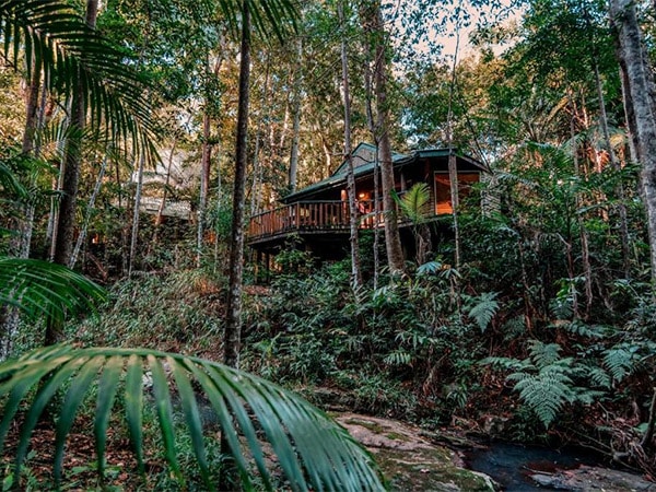 Narrows Escape Luxury Rainforest Retreat