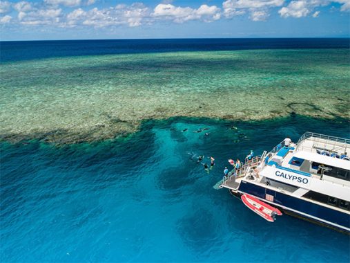 calypso barrier reef tours