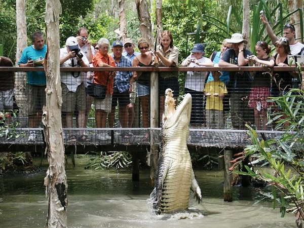 Hartley’s Crocodile Adventures.