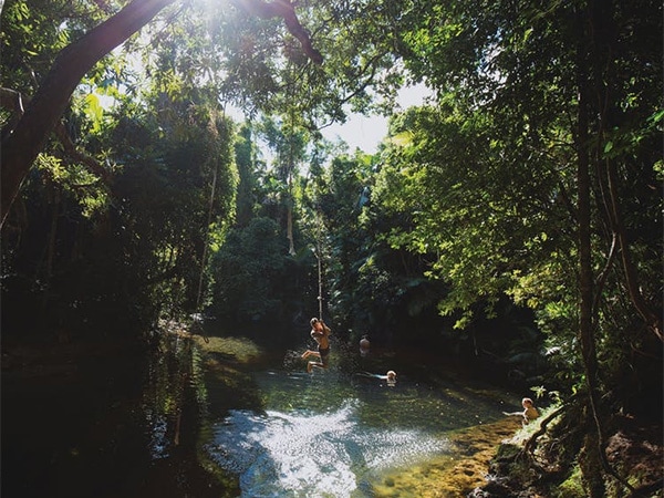 How To Get To Emmagen Creek Swimming Hole Cape Tribulation