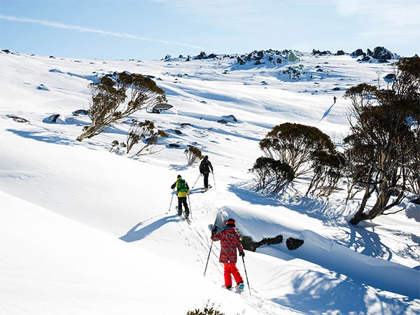snowshoeing thredbo