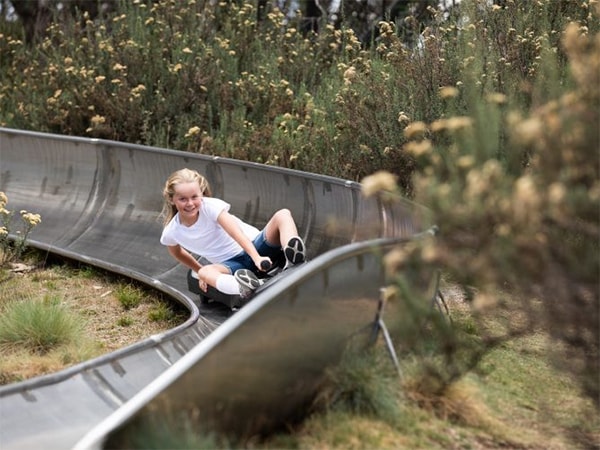 Alpine Bobsled.