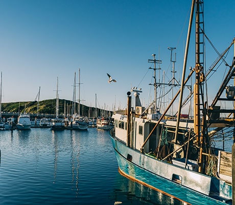 Fishing, Coffs Harbour, NSW Australia