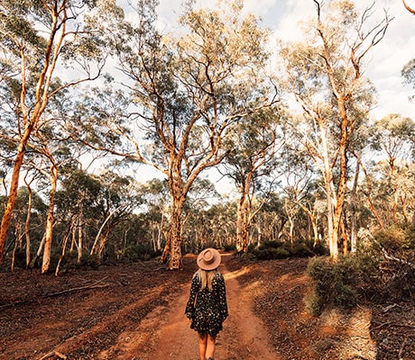 Dyandra Woodland, Kalgoorlie Boulder, West Australia