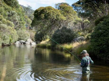 18 Top Things To Do In Thredbo