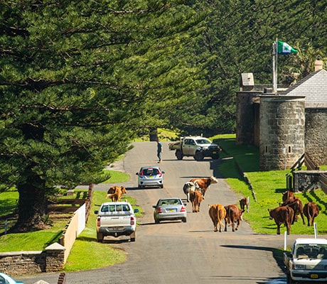 General Kingston Area, Norfolk Island, Australia