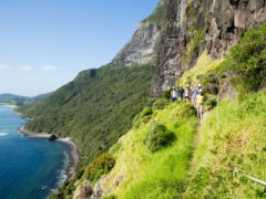 a group of hikers on a scenic walk up Mount Gower, Lord Howe Island