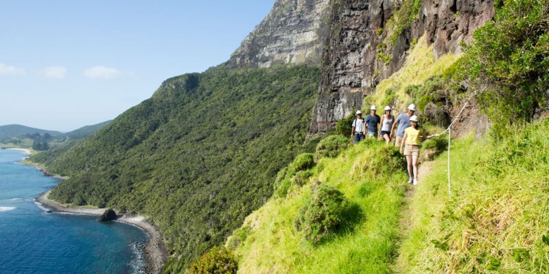 a group of hikers on a scenic walk up Mount Gower, Lord Howe Island