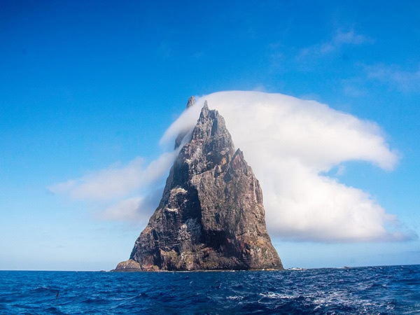 Ball’s Pyramid, Lord howe island