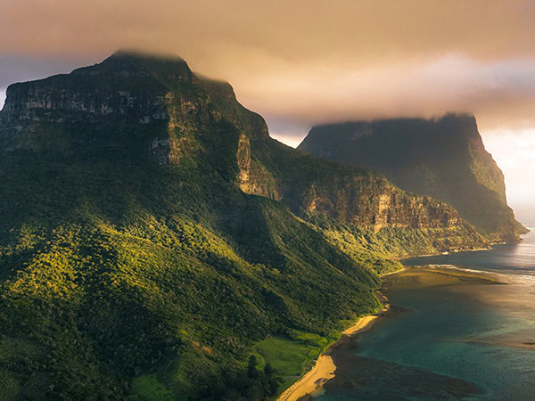 cloud forest around Mt Gower on lord howe island