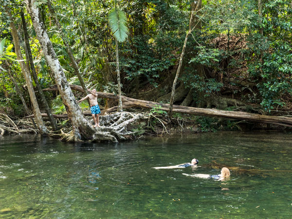 people swimming in the clear waters of Emmagen Creek, Port Douglas