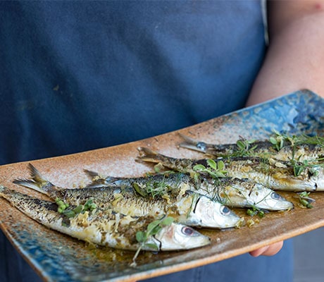 Sardine eatery and bar, Paynesville, Gippsland, VIC