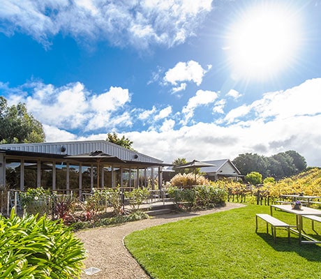 Toms Cap Vineyard, Willung, Gippsland, Australia