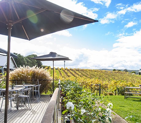 Toms Cap Vineyard, Gippsland, VIC Australia